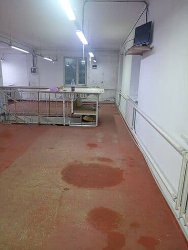 как открыть швейный цех в бишкеке: Сдаю швейный цех. Район туббольницы. Есть оборудование . Цена — 7