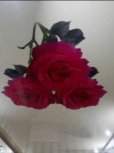 стоимость натяжных потолков: Натяжной потолок Глянцевое, Матовое, 3D потолки Гарантия, Бесплатный замер, Бесплатная консультация — 7