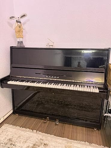 Пианино: Фортепиано «Чайка» (вертикальное, акустическое) - Корпус — 2