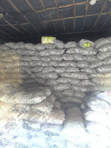 клубника в шоколаде цена бишкек: Морковь Оптом, Самовывоз, Платная доставка — 6