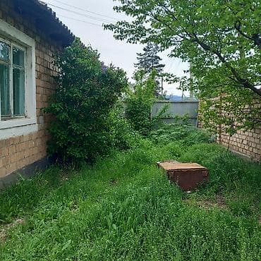 3: Дом с приусадебным участком - Отдельно стоящий одноэтажный дом из — 2