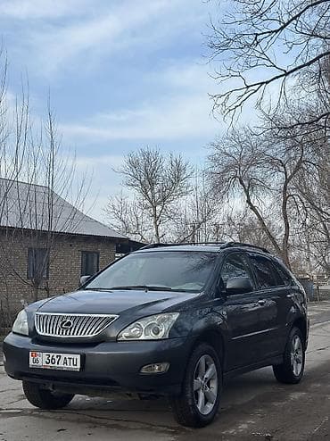 состояние хорошоя: Lexus RX: 2003 г., 3 л, Автомат, Газ, Кроссовер — 4