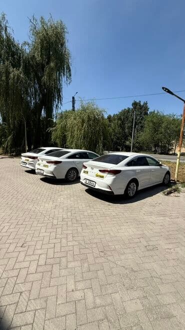 квартира в бишкеке на долгий срок: СДАЮ В АРЕНДУ ПОД ТАКСИ!🚕 🚕🚕 -Хундай SONATA NEW RISE 2018/2019 -BYD E3 — 2