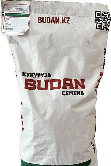 дордой моторс продукты: В продаже семена кукурузы BUDAN (БУДАН) ЗПСК 704 урожайность гибрида — 2