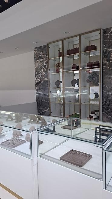 магазин лина: Стеклянные витрины. Офисные перегородки. Стеклынные перегородки — 10