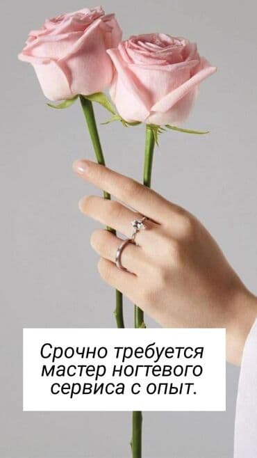 набор маникюра: Мастера ногтевого сервиса — 1