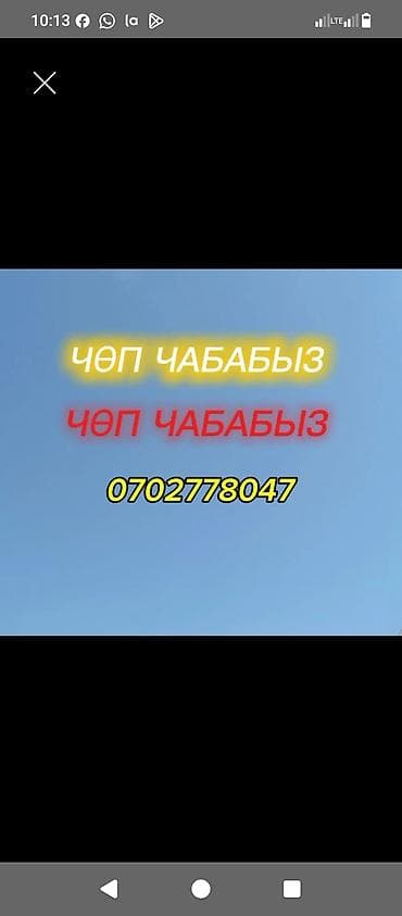 беременная: Уборка территории, Стрижка газона — 1
