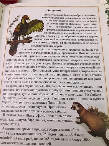 solutions elementary: Книжки 2 шт — 2