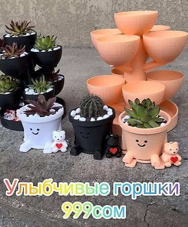 Милые и красивые горшки с кактусом и каменными розами и брелком в