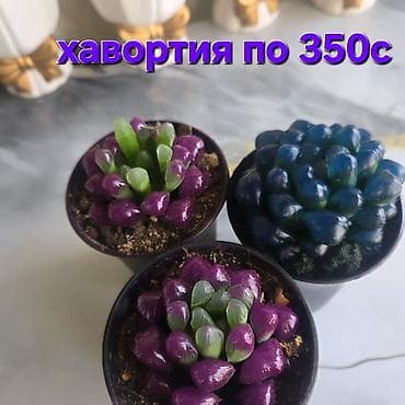 4 pot: Тележка-органайзер на колесах, Новый, Железо, Самовывоз — 9