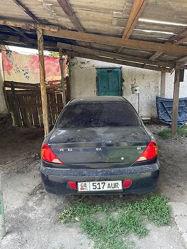 Kia Spectra: 2008 г., Хетчбек