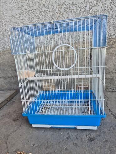 Иттер: Просторная клетка для птиц, выполненная из комбинации синего и белого — 2