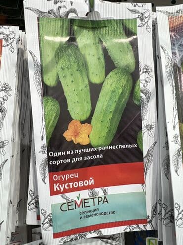 картофель семена: Уруктар жашылчалардын: Сабиз, Бадыраңдар, Капуста, Өзү алып кетүү, Акылуу жеткирүү — 2