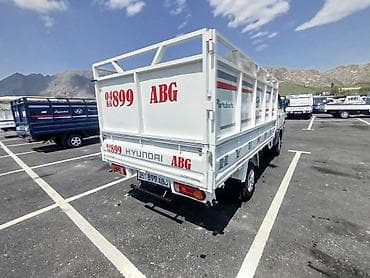 nissan terrano: Легкий грузовик, Hyundai, Стандарт — 7