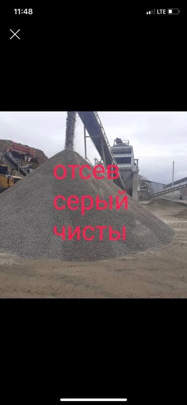 бишкек оптом картошка: Отсев отсев отсев отсев отсев отсев отсев отсев отсев отсев отсев — 1