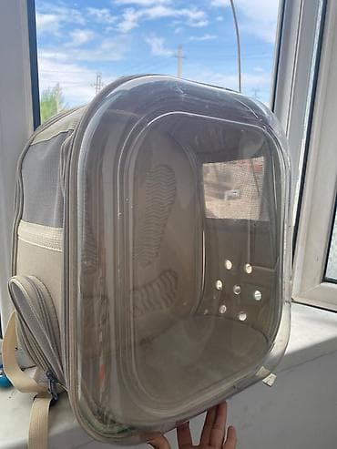 купить животных в бишкеке: ​🐱 Стартовый набор для котика: Переноска-рюкзак + Лоток + Аксессуары — 6