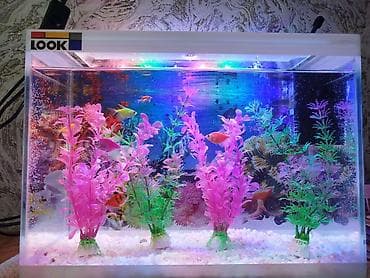 Аквариум сатылат 15литр балык 6шт🐠 комплект светильник фильтр менен 🪸