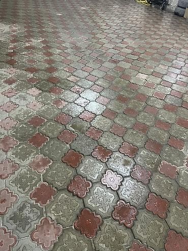 сколько стоит фикус: Б/У Тротуарная плитка «Клевер» (фигурная) 100 квадратных метров Цена — 1