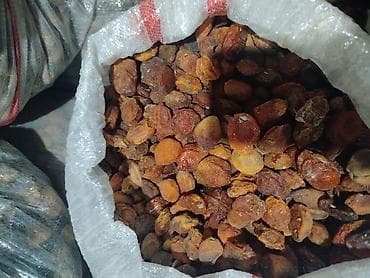 ящик для фрукты: Кампот (кызыл даарыланган) Оптом 30 тонна бар — 3