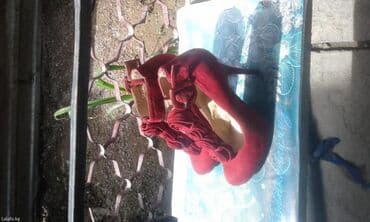 Прокат одежды: Продаю новые туфли
38 размер — 2