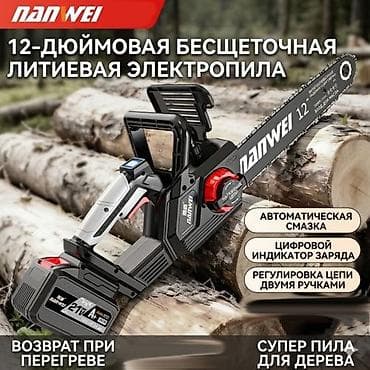 Үй жана бакча: Чынжырлуу электр араа Жаңы, Аккумулятордон, 2000 Вт — 3