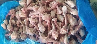 куринный: Продаю бройлерные куриные трубчатые мясные кости по 20 сом за кг — 2