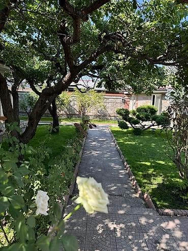 газон дорожка: Ландшафтный участок с мощеными дорожками и декоративными насаждениями — 4