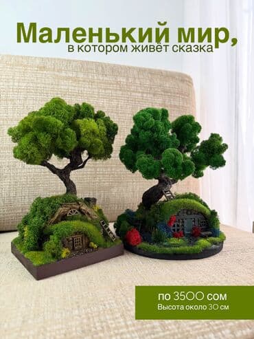 Авторские интерьерные композиции из стабилизированного мха 1) Райский