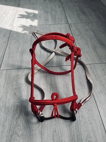 аренда лошадей: Продаю | Жеребец | Конный спорт — 3