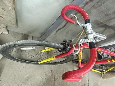 шорты ufc: Шоссейный велосипед, Рама XL (180 - 195 см), Б/у — 2