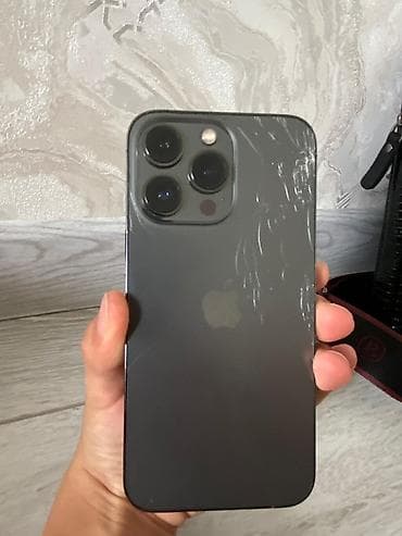 Apple iPhone: IPhone 13 Pro, Графит — 1