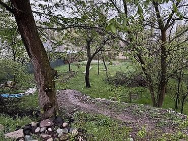 мин булак: 4 соток, Бизнес үчүн, Кызыл китеп — 2