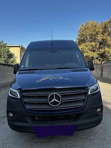 ленивец на даф: Пассажирский микроавтобус Mercedes‑Benz Sprinter 315 CDI (сине‑темный — 6