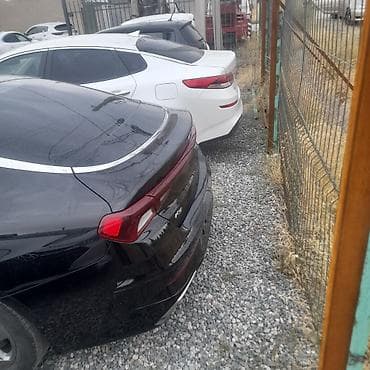 k5 optima: Kia K5: 2020 г., 2 л, Автомат, Газ, Фастбек — 4