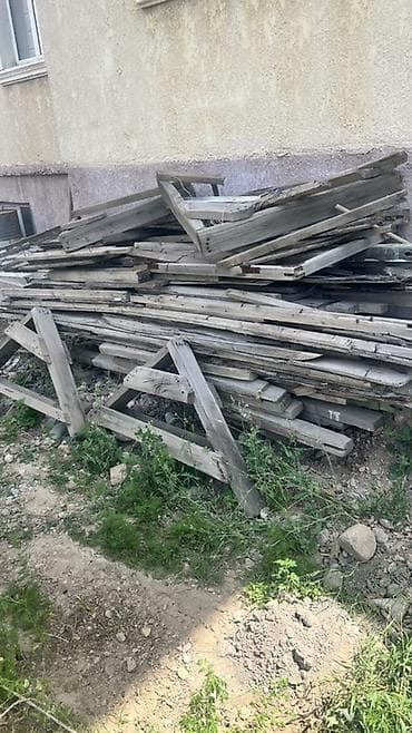 Хвоя