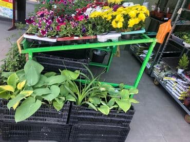 оборудование для магазина бу: Подставка для фруктов — 5