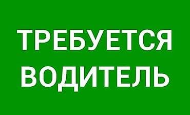 груз: Требуется Водитель грузового транспорта, Категория прав (C), На самосвал, 1-2 года опыта, Премии, Шестидневка, Старше 23 лет — 1