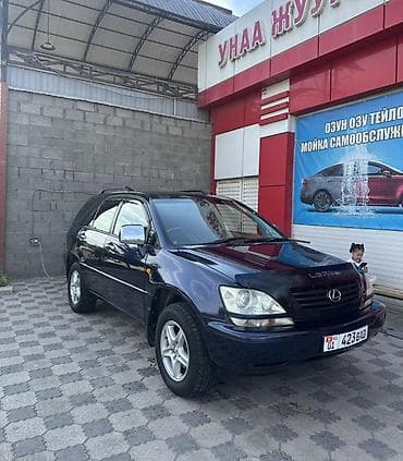 Lexus RX: 2003 г., 3 л, Автомат, Газ, Кроссовер