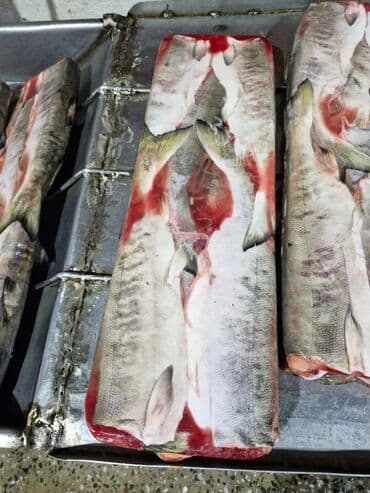 фарель живой: Замороженный, Более 10 кг, Самовывоз — 5
