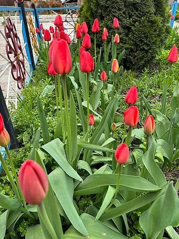 письменные столы бишкек: Самовывоз — 7