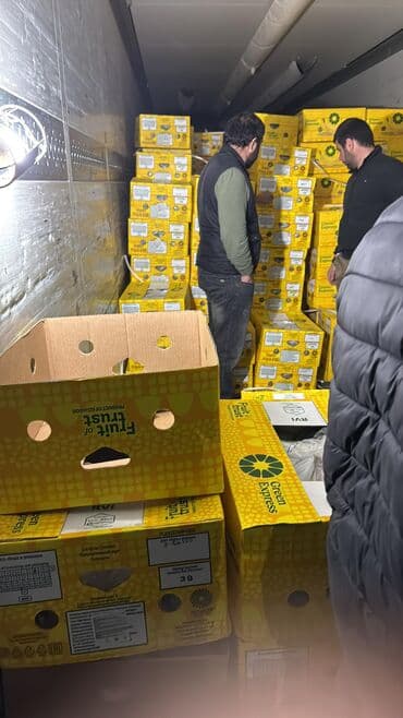 где можно купить саженцы яблони в бишкеке: Бананы В розницу — 3