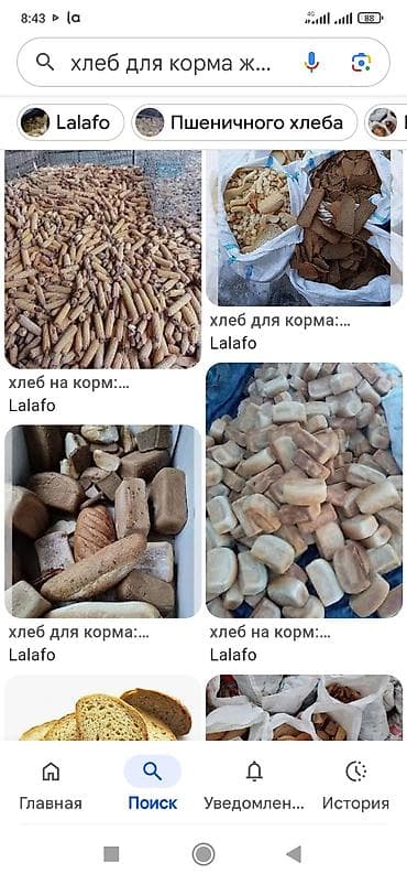 корм отруби: Хлеб для животных — 1