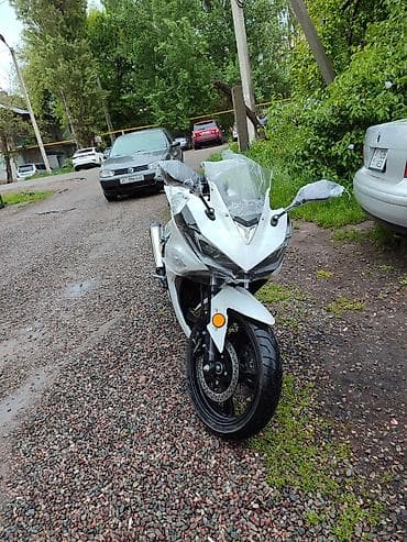 урал мататсикл: Спортбайк Kawasaki, 300 куб. см, Бензин, Взрослый — 2