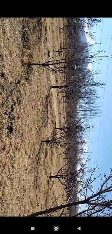 участок воост: 15 соток, Для строительства, Договор дарения — 4