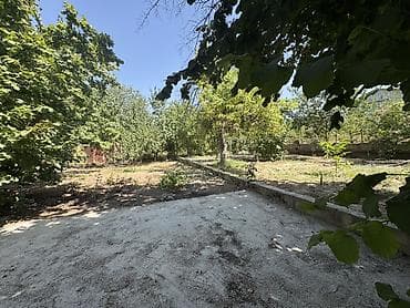 Продам дачу, собственник Сад плодородный Яблони, груши, королевский — 10
