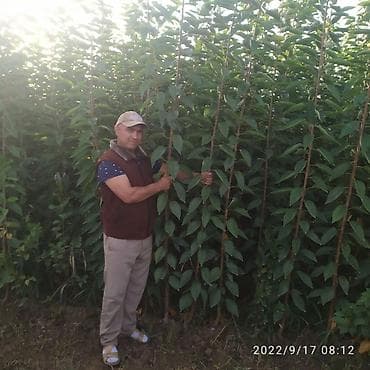 Канцтовары: Другие товары для дома — 3