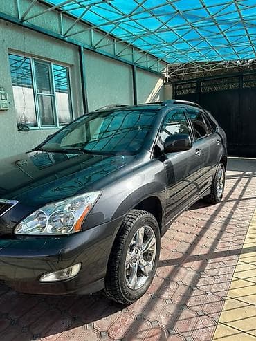 авто лексус: Lexus RX: 2004 г., 3.3 л, Автомат, Газ, Кроссовер — 2