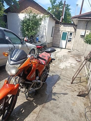 harley devidson: Naked Honda, 150 куб. см, Бензин, Взрослый, Б/у — 4