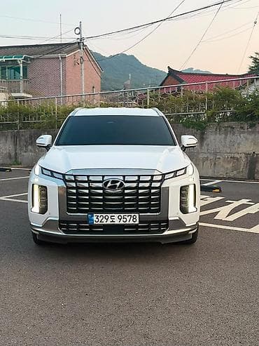 Hyundai Palisade: 2024 г., Внедорожник