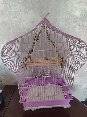 Канаттуулардан коргоочу торлор — 1